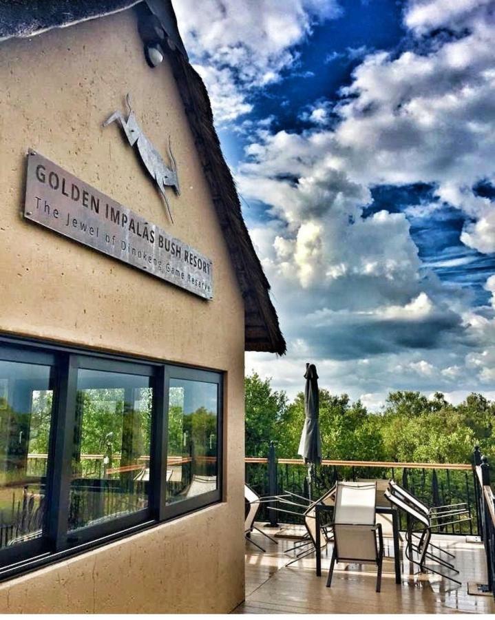 המנסקראל Golden Impalas Bush Resort מראה חיצוני תמונה